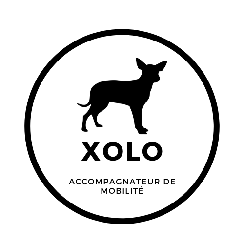 Xolo
